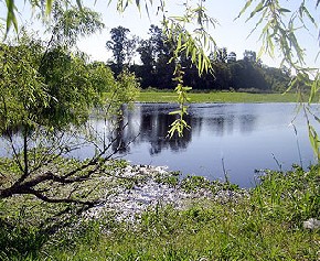 Parque Regional y Forestal Rafael de Aguiar - San Nicols de los Arroyos